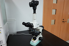 光学顕微鏡の写真