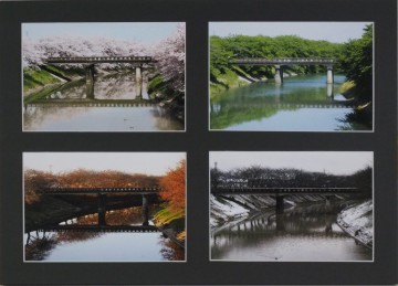 11 写真・奨励賞「花の木橋の四季」小路博之