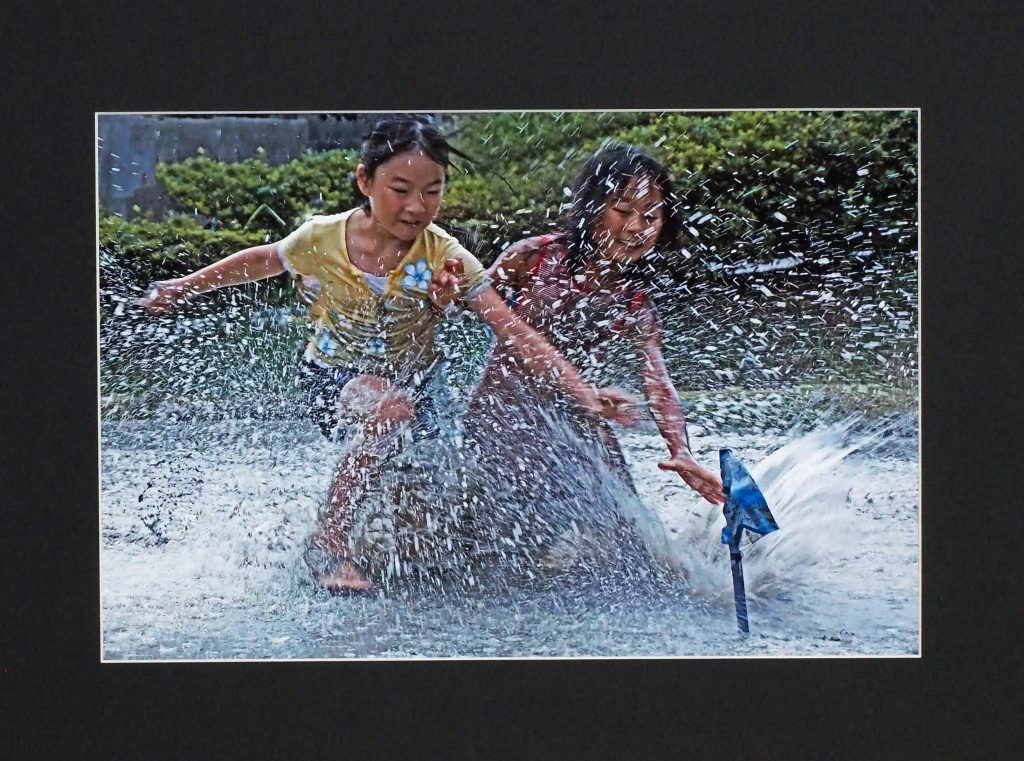 11 写真・奨励賞「花の木橋の四季」小路博之