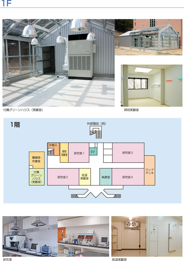 1Fの間取り